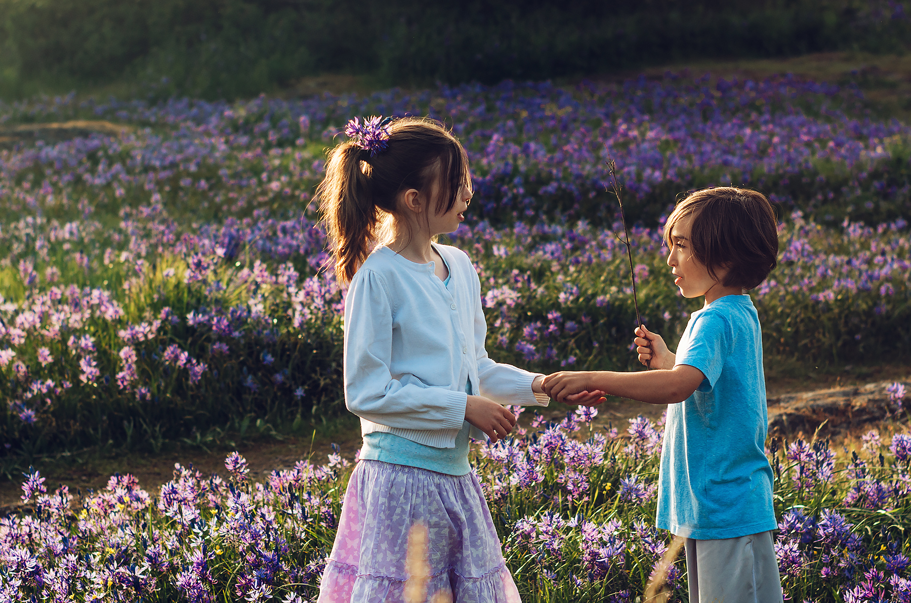 children holding hands in a field of flowers