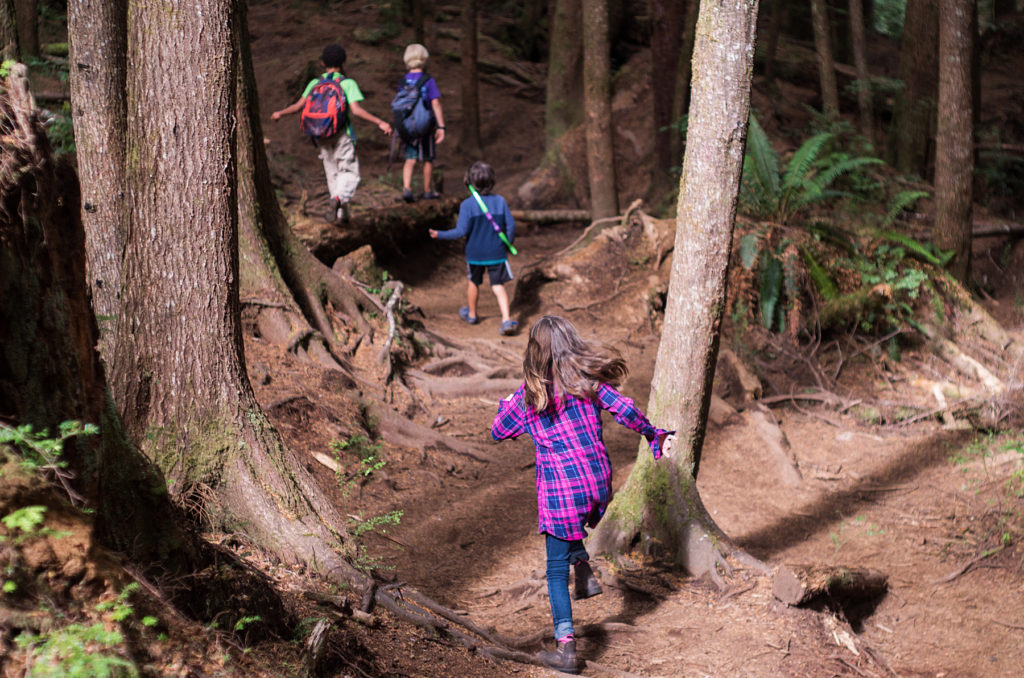 kids hiking in the forest, Juan de Fuca Provincial Park