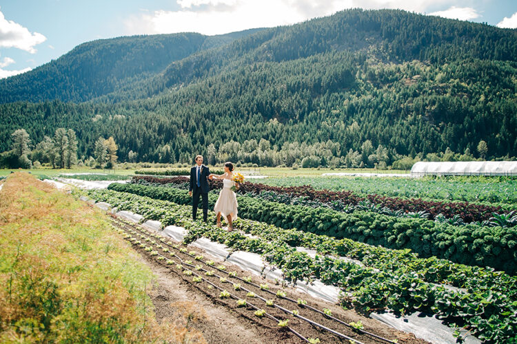 Farm Wedding Pemberton BC