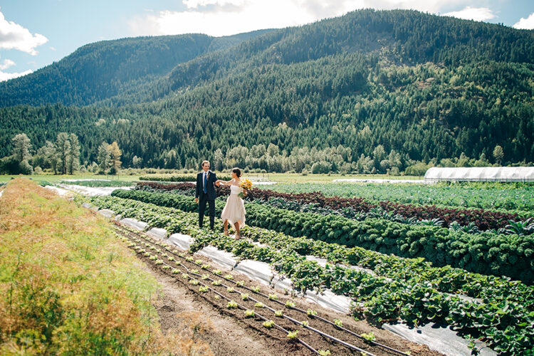 Farm Wedding Pemberton BC