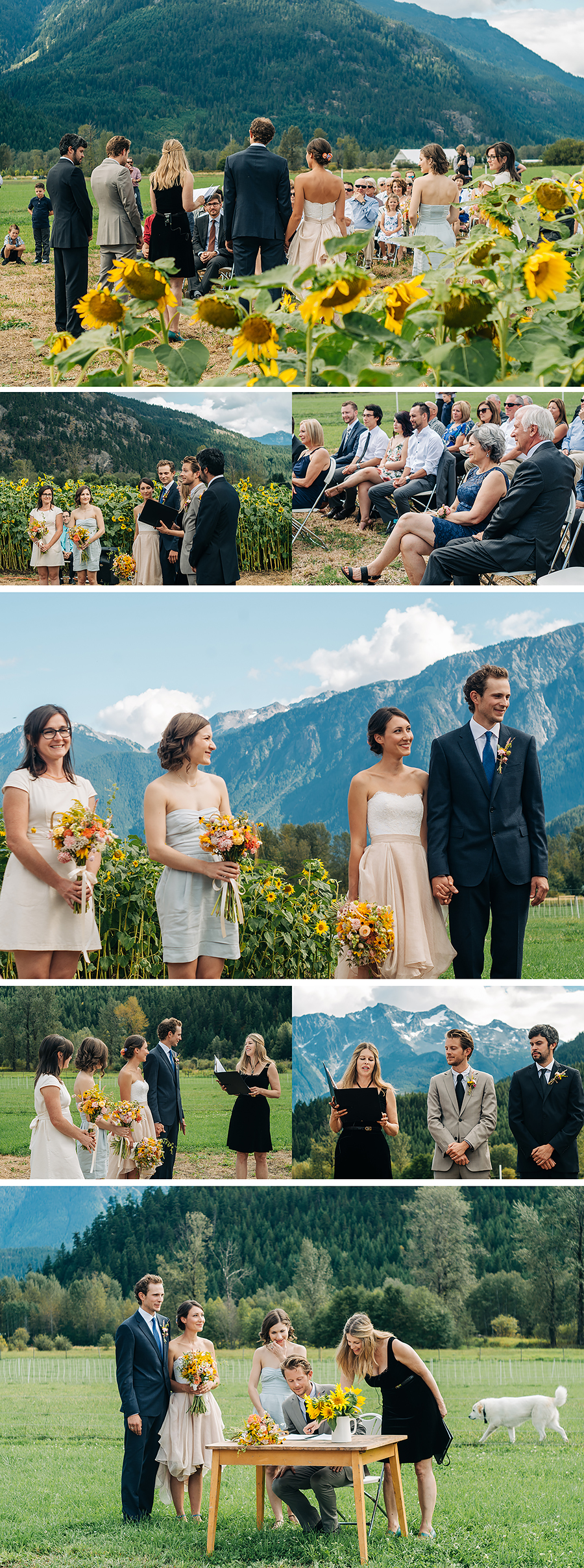 Pemberton BC wedding, plenty wild farm, pemberton meadows, farm wedding, wedding ceremony 