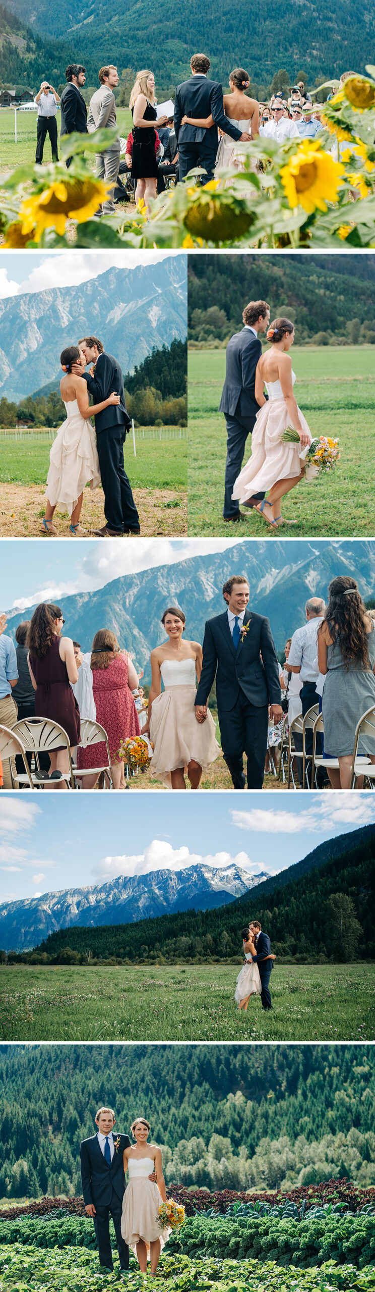 Pemberton BC wedding, plenty wild farm, pemberton meadows, farm wedding, wedding ceremony 